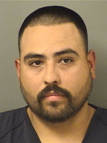  GABRIEL GONZALO DIAZ Resultados de la busqueda para Palm Beach County Florida para  GABRIEL GONZALO DIAZ