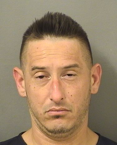  HAROLD LEHTO Resultados de la busqueda para Palm Beach County Florida para  HAROLD LEHTO