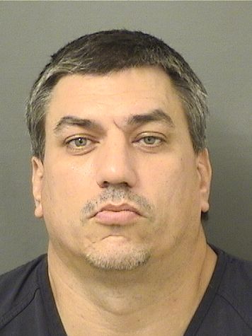  MICHAEL RODRIGUES Results from Palm Beach County Florida for  MICHAEL RODRIGUES