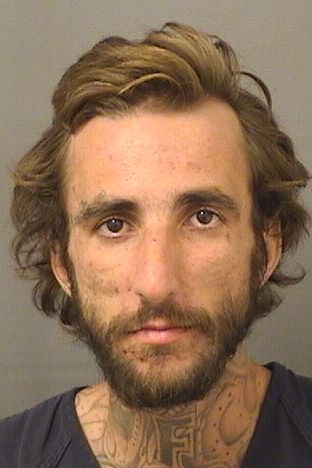  NICHOLAS ANDREW MUSCARDIN Results from Palm Beach County Florida for  NICHOLAS ANDREW MUSCARDIN