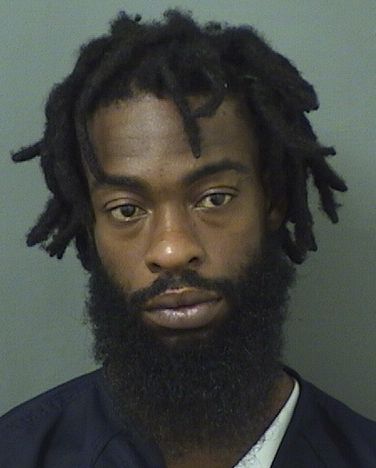  ODAINE CURRIE Results from Palm Beach County Florida for  ODAINE CURRIE