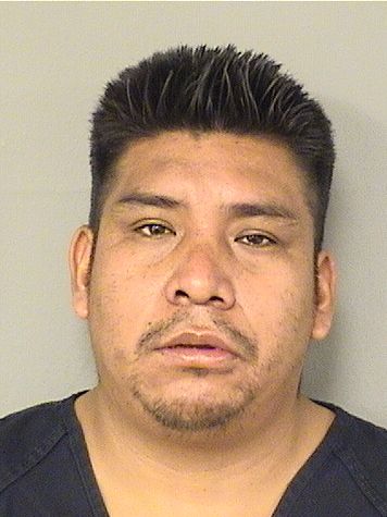  CARLOS ISAI GOMEZMENDEZ Results from Palm Beach County Florida for  CARLOS ISAI GOMEZMENDEZ