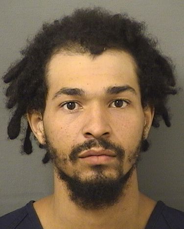  MENARD PIERRE Results from Palm Beach County Florida for  MENARD PIERRE