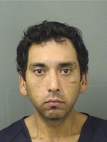 PABLO ANTONIO FLORES Results from Palm Beach County Florida for PABLO ANTONIO FLORES PABLO ANTONIO FLORES Results from Palm Beach County Florida for PABLO ANTONIO FLORES
