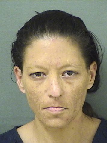  KETSIA M FLORES Results from Palm Beach County Florida for  KETSIA M FLORES