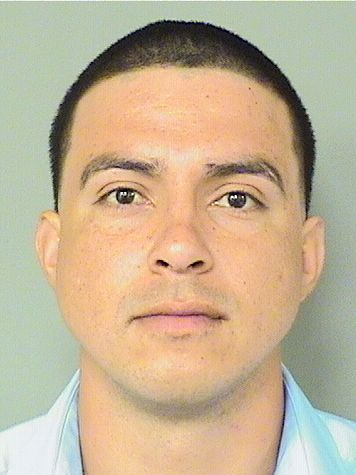  JESUS ANTHONY MOJICAALCALA Results from Palm Beach County Florida for  JESUS ANTHONY MOJICAALCALA