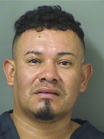  NERIN ADALID PALMAVELASQUEZ Results from Palm Beach County Florida for  NERIN ADALID PALMAVELASQUEZ