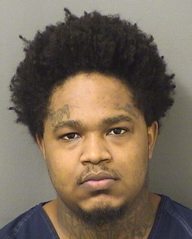  FRANTZ ANTHONY DEMEZIER Resultados de la busqueda para Palm Beach County Florida para  FRANTZ ANTHONY DEMEZIER