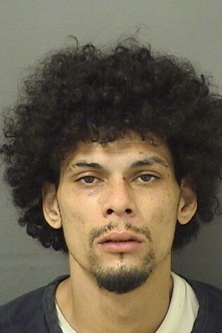  JOSE JAVIER RIVERADIAZ Resultados de la busqueda para Palm Beach County Florida para  JOSE JAVIER RIVERADIAZ