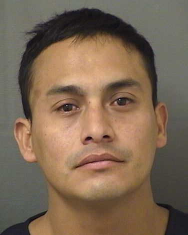  VICTOR DELEON Results from Palm Beach County Florida for  VICTOR DELEON
