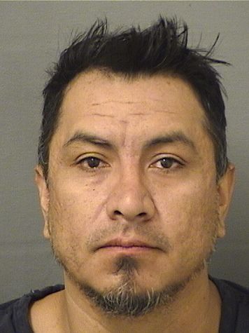  JONATHAN RAMIREZ Results from Palm Beach County Florida for  JONATHAN RAMIREZ