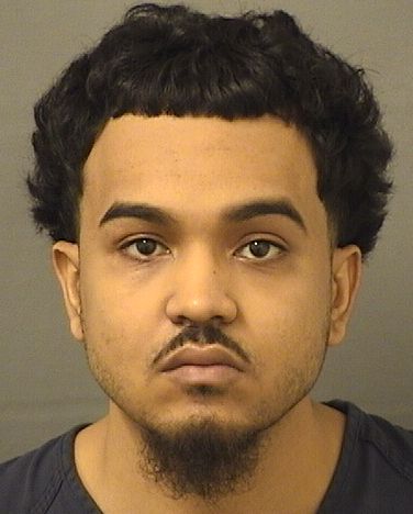  JOHAN CONCEPCION Results from Palm Beach County Florida for  JOHAN CONCEPCION
