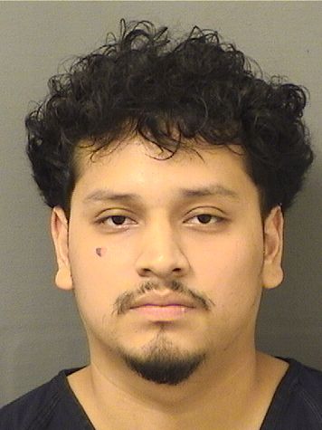  DAVID PEREZ Resultados de la busqueda para Palm Beach County Florida para  DAVID PEREZ