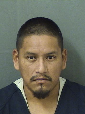  NOLASCO JESUSMENTEJO Resultados de la busqueda para Palm Beach County Florida para  NOLASCO JESUSMENTEJO