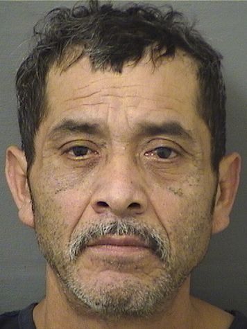  EMILIO D ALCOCER Results from Palm Beach County Florida for  EMILIO D ALCOCER