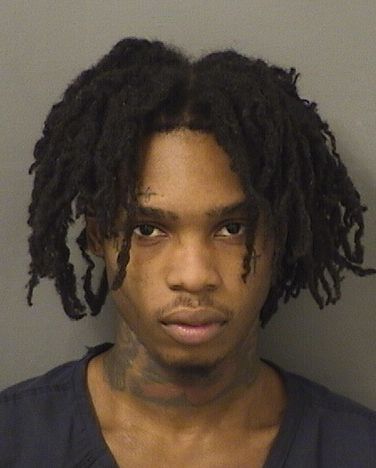  DEMERION ALTWON FIELDS Results from Palm Beach County Florida for  DEMERION ALTWON FIELDS