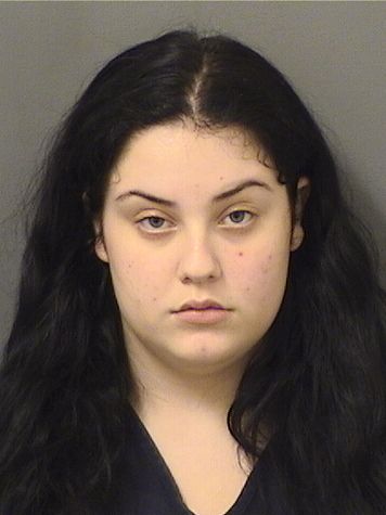  DANIELLE M DEZWARTE Results from Palm Beach County Florida for  DANIELLE M DEZWARTE