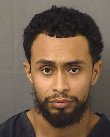  DENNIS CASTELLANOS Results from Palm Beach County Florida for  DENNIS CASTELLANOS