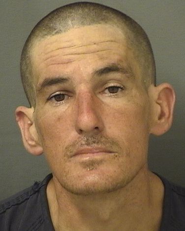  MATTHEW SCOTT HARVEY Results from Palm Beach County Florida for  MATTHEW SCOTT HARVEY