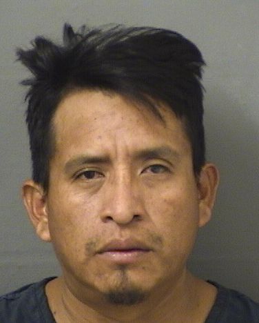  TOMAS JOAQUIN CUTEREZLAREZ Resultados de la busqueda para Palm Beach County Florida para  TOMAS JOAQUIN CUTEREZLAREZ