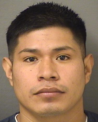  ROSARIO HERNANDEZMORALES Results from Palm Beach County Florida for  ROSARIO HERNANDEZMORALES