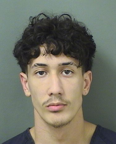  FRANK ROQUEBESSE Results from Palm Beach County Florida for  FRANK ROQUEBESSE