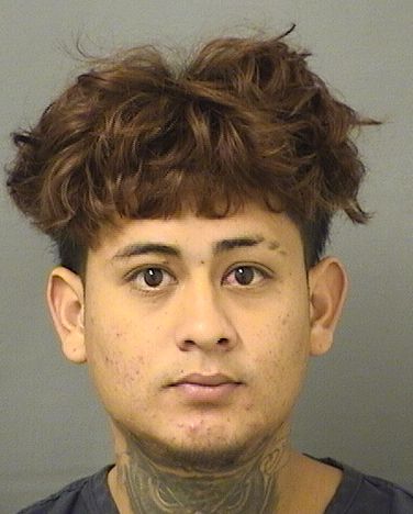  LUIS ANDRES SANTOSNUNEZ Photo