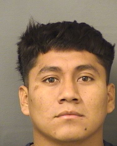  WALTER ALVARO CHEICO Results from Palm Beach County Florida for  WALTER ALVARO CHEICO