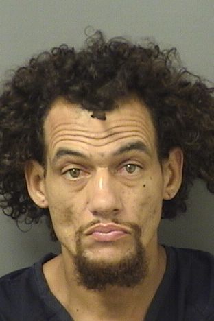  JOSHUA DAVID HUNT Resultados de la busqueda para Palm Beach County Florida para  JOSHUA DAVID HUNT