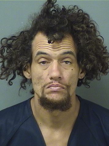  JOSHUA DAVID HUNT Resultados de la busqueda para Palm Beach County Florida para  JOSHUA DAVID HUNT