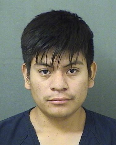 ADALBERTO DAVID MORALESSANCHEZ Results from Palm Beach County Florida for ADALBERTO DAVID MORALESSANCHEZ ADALBERTO DAVID MORALESSANCHEZ Results from Palm Beach County Florida for ADALBERTO DAVID MORALESSANCHEZ