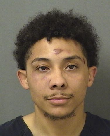  JONPIERRE GONZALEZ Results from Palm Beach County Florida for  JONPIERRE GONZALEZ