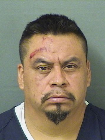  RIGOBERTO JIMENEZARENAS Results from Palm Beach County Florida for  RIGOBERTO JIMENEZARENAS