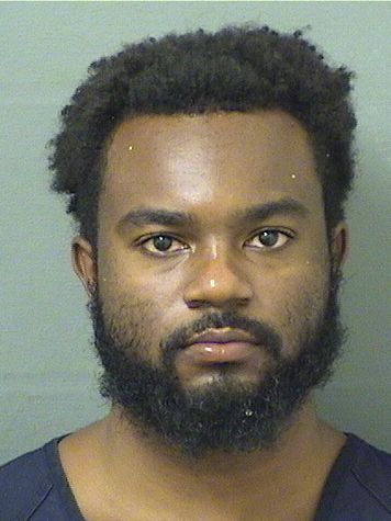  DAMIAN LEE REEVES Results from Palm Beach County Florida for  DAMIAN LEE REEVES