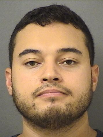  DANIEL MICHAEL FELIX Results from Palm Beach County Florida for  DANIEL MICHAEL FELIX