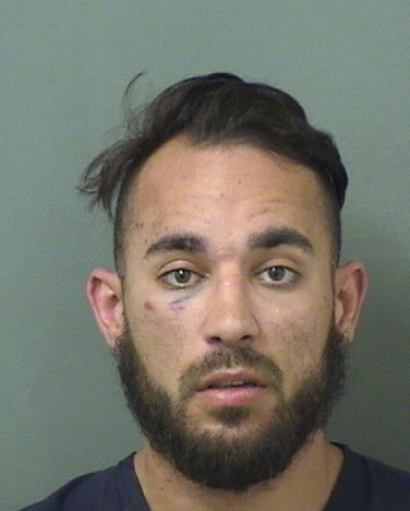  ENRIQUE ROSENDO Jr DUCASSI Results from Palm Beach County Florida for  ENRIQUE ROSENDO Jr DUCASSI