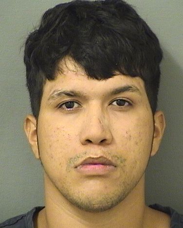  BRIAN DAVID SUAREZCORONADO Results from Palm Beach County Florida for  BRIAN DAVID SUAREZCORONADO