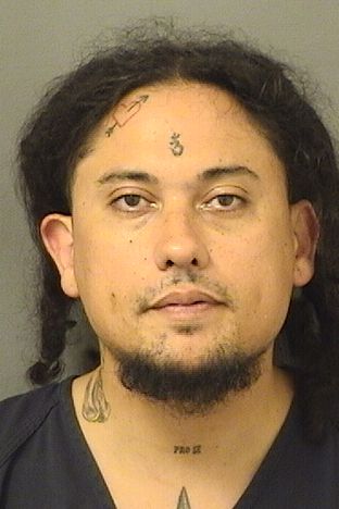  BRENDAN CHEESEBROUGH Resultados de la busqueda para Palm Beach County Florida para  BRENDAN CHEESEBROUGH