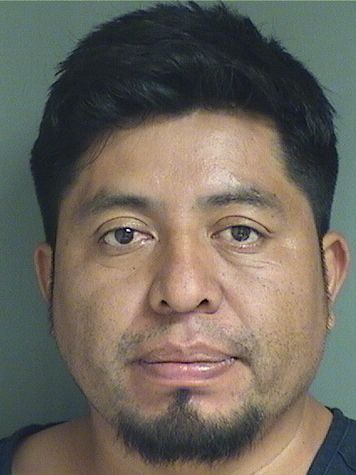 HERIBERTO OTTONIEL VELASQUEZESCALANTE Results from Palm Beach County Florida for HERIBERTO OTTONIEL VELASQUEZESCALANTE HERIBERTO OTTONIEL VELASQUEZESCALANTE Results from Palm Beach County Florida for HERIBERTO OTTONIEL VELASQUEZESCALANTE