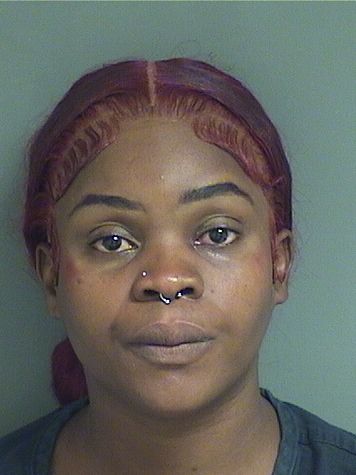  MERNIDE FRANCOIS Results from Palm Beach County Florida for  MERNIDE FRANCOIS