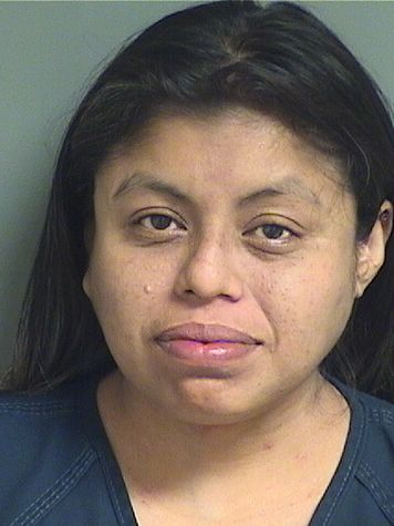  ANGELINA TOMAS Resultados de la busqueda para Palm Beach County Florida para  ANGELINA TOMAS