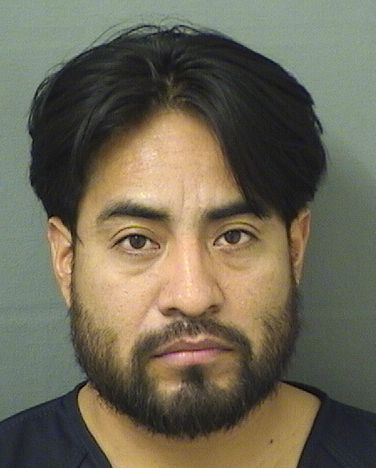  PEDRO HERNANDEZGOMEZ Results from Palm Beach County Florida for  PEDRO HERNANDEZGOMEZ