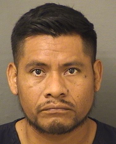 DIEGO MIGUELFELIPE Results from Palm Beach County Florida for DIEGO MIGUELFELIPE DIEGO MIGUELFELIPE Results from Palm Beach County Florida for DIEGO MIGUELFELIPE