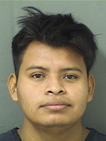 AROLDO GEOVANY LOPEZLOPEZ Results from Palm Beach County Florida for  AROLDO GEOVANY LOPEZLOPEZ