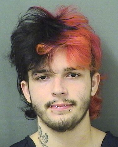  BRYAN EVAN LAYNE Results from Palm Beach County Florida for  BRYAN EVAN LAYNE