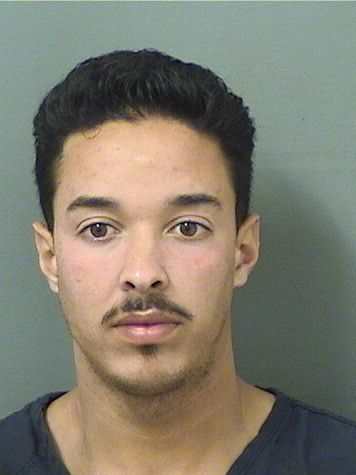  ANNIER TURROOLIVEROS Results from Palm Beach County Florida for  ANNIER TURROOLIVEROS