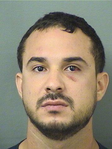  NESTOR FABIAN ALTUVE Results from Palm Beach County Florida for  NESTOR FABIAN ALTUVE