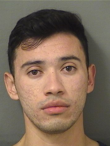  DOUGLAS BUSHEYJOYAS Results from Palm Beach County Florida for  DOUGLAS BUSHEYJOYAS