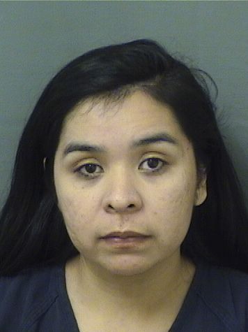  BLANCA KARINA CORONADOIBARRA Results from Palm Beach County Florida for  BLANCA KARINA CORONADOIBARRA