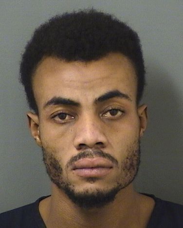  BIKENSON MIRVIL Results from Palm Beach County Florida for  BIKENSON MIRVIL